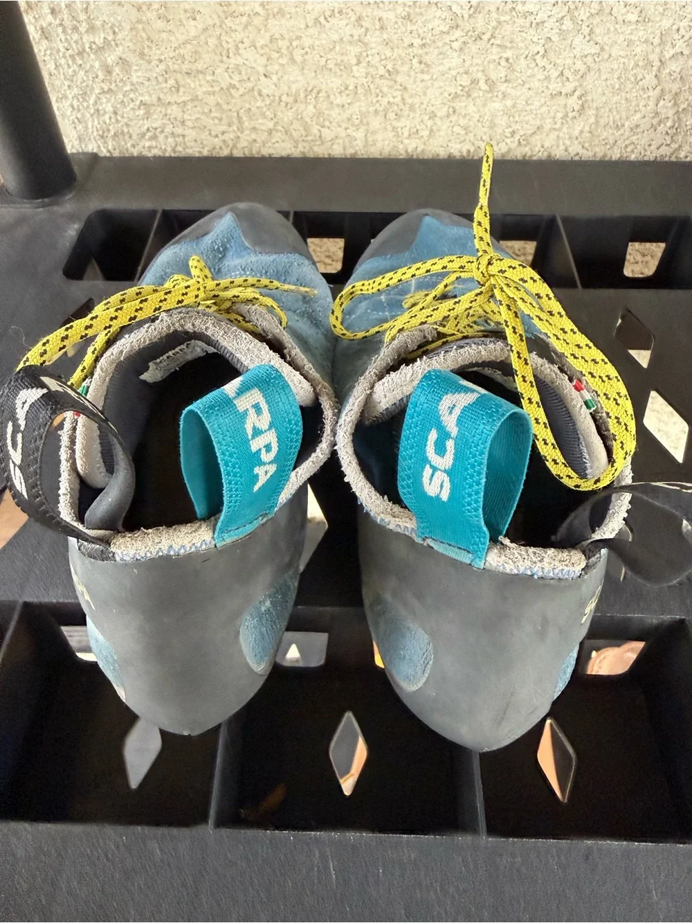 Scarpa helix rock